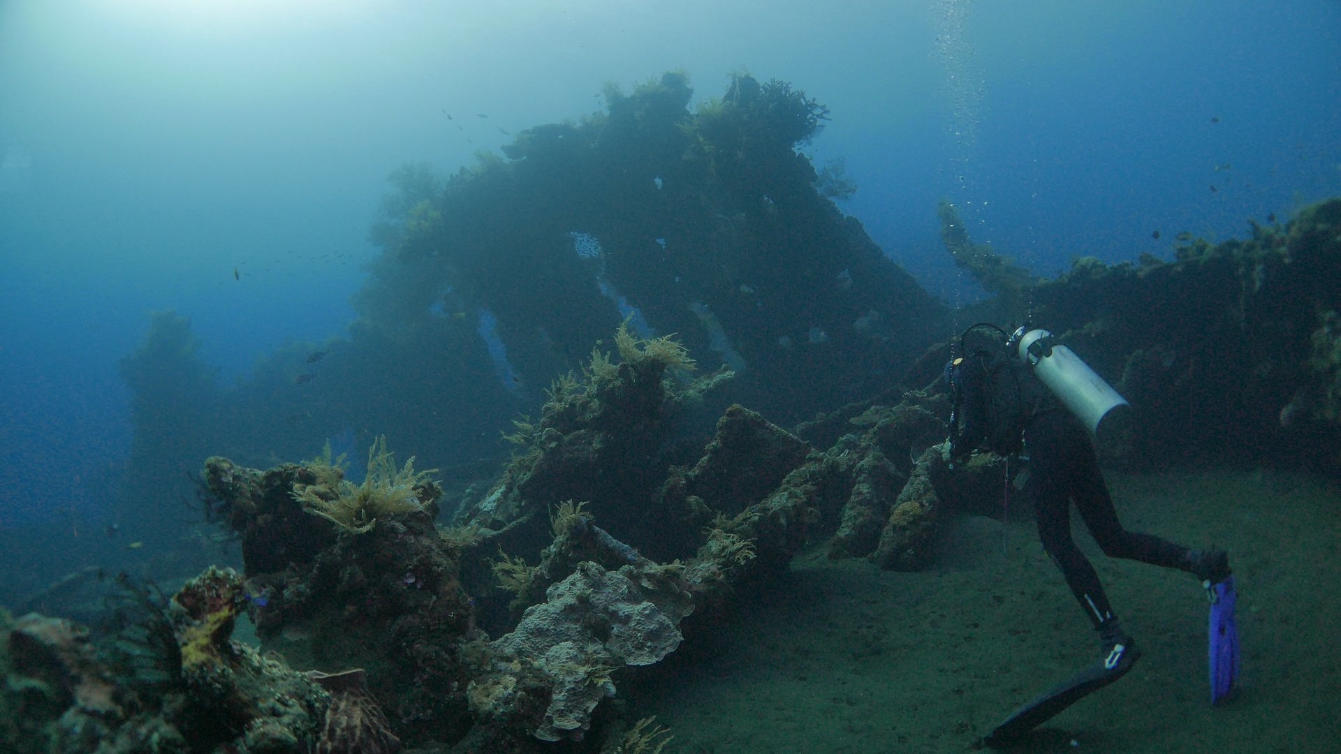 Scuba diver exploring the USAT Liberty wreck at Tulamben, Bali