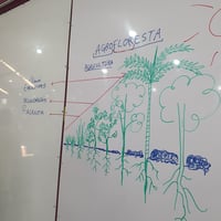 https://imagedelivery.net/Zup8WBbIN5Thd9Z4UDwdTA/018aff18-4738-4772-b647-b151a0b2e400/thumb