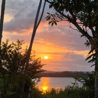 https://imagedelivery.net/Zup8WBbIN5Thd9Z4UDwdTA/14ea47b3-f58c-4bfb-c876-6958008c4100/thumb