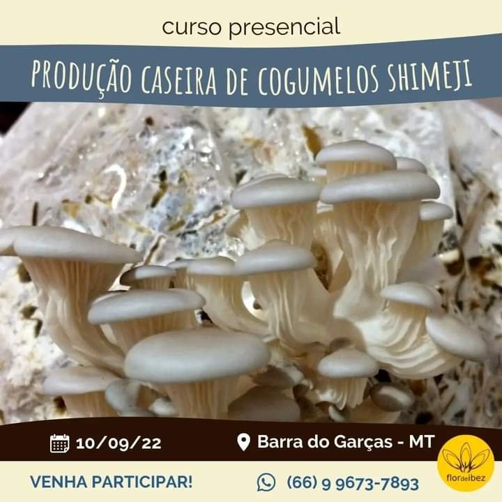 https://imagedelivery.net/Zup8WBbIN5Thd9Z4UDwdTA/167f2c2f-df8e-433d-f825-614a254fd700/instagram