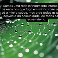 https://imagedelivery.net/Zup8WBbIN5Thd9Z4UDwdTA/2caba154-c59a-41d8-226b-c5fd4b62ab00/thumb