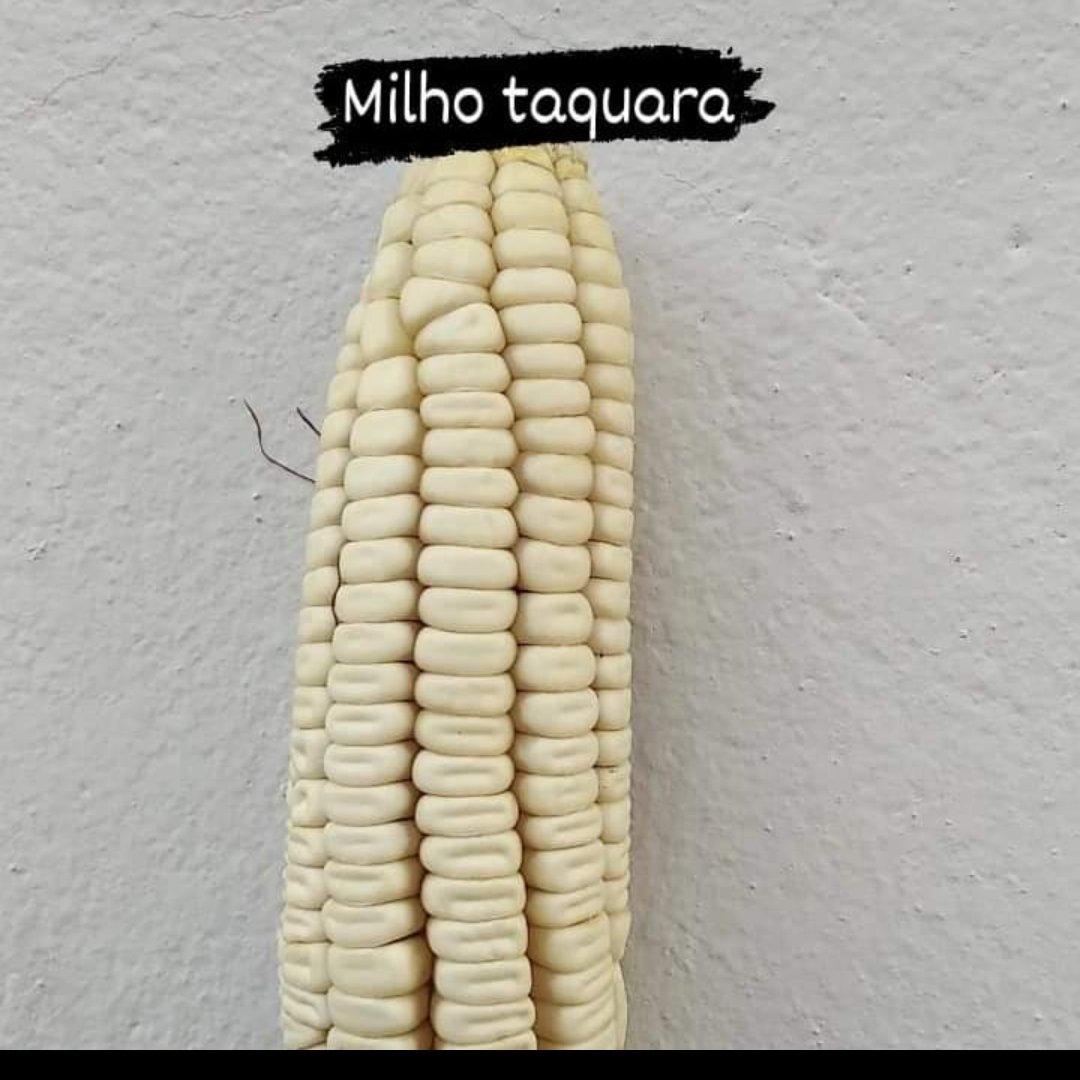 https://imagedelivery.net/Zup8WBbIN5Thd9Z4UDwdTA/3d387e6f-937d-4bbb-89fb-dd1197547500/instagram