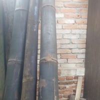 https://imagedelivery.net/Zup8WBbIN5Thd9Z4UDwdTA/480f4d06-b3a8-44ff-d42a-5f59e497cc00/thumb