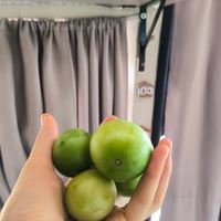 https://imagedelivery.net/Zup8WBbIN5Thd9Z4UDwdTA/4ad049e4-cf47-4b54-4170-b7ab0da62300/thumb