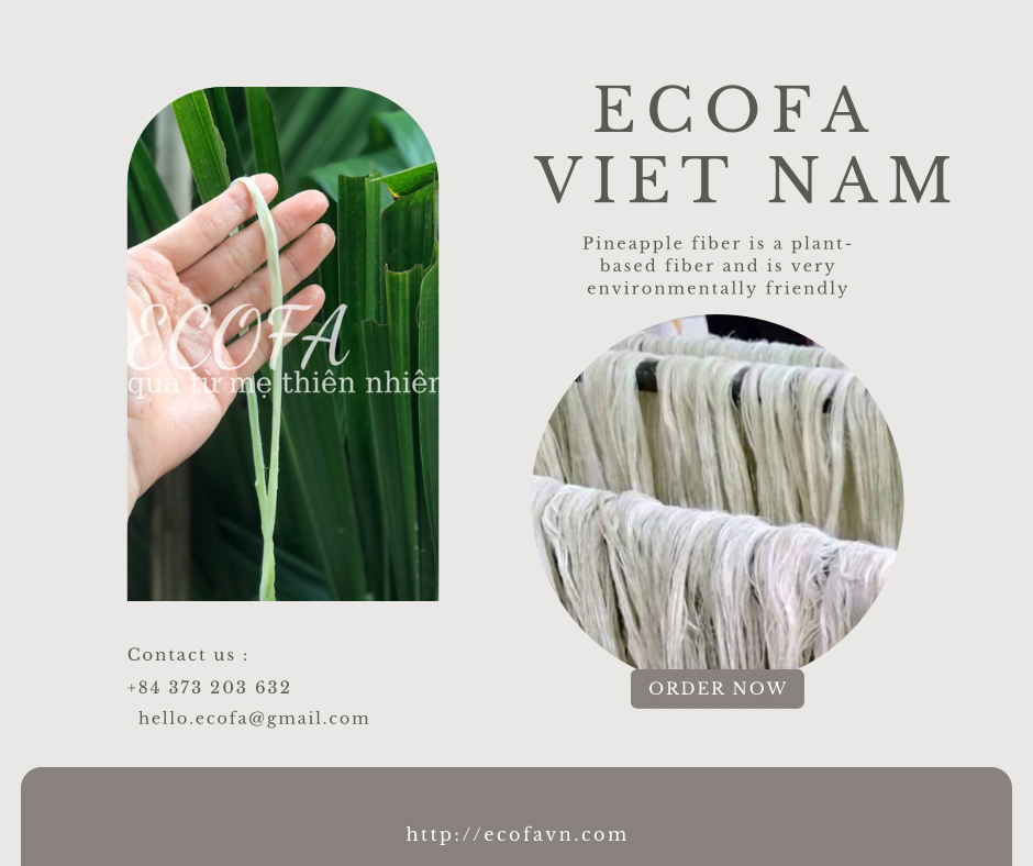 https://imagedelivery.net/Zup8WBbIN5Thd9Z4UDwdTA/6e4cc347-c97b-4dc2-c1fa-09516d8df900/instagram