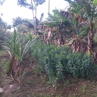 https://imagedelivery.net/Zup8WBbIN5Thd9Z4UDwdTA/92ab8b59-34c3-49e7-fd8d-5af28d5c2100/thumb