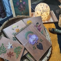 https://imagedelivery.net/Zup8WBbIN5Thd9Z4UDwdTA/94f655ba-11a9-4622-0d7e-eefbcb33ee00/thumb