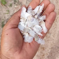 https://imagedelivery.net/Zup8WBbIN5Thd9Z4UDwdTA/9c251df1-832d-4e95-72c7-8856b339fc00/thumb