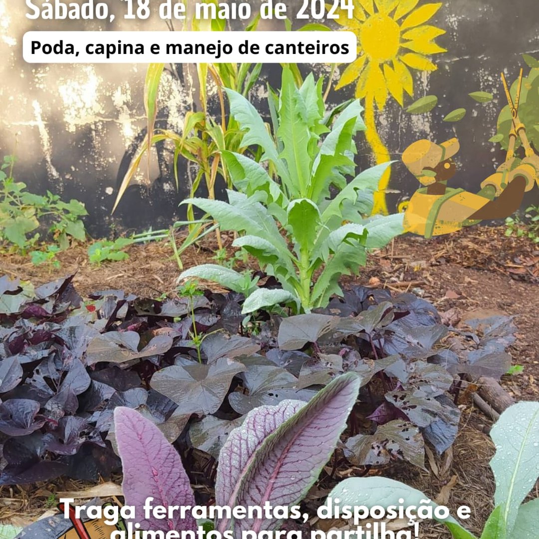 https://imagedelivery.net/Zup8WBbIN5Thd9Z4UDwdTA/9d840c30-0379-485d-9d4c-a1999583a600/instagram