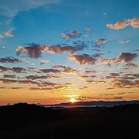 https://imagedelivery.net/Zup8WBbIN5Thd9Z4UDwdTA/a22d80dd-f5cd-419d-39b1-aad1a613f300/thumb