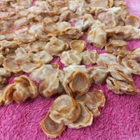 https://imagedelivery.net/Zup8WBbIN5Thd9Z4UDwdTA/a6bb2920-0cc1-48a1-af78-2ab10f9b3500/thumb