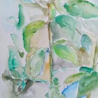 https://imagedelivery.net/Zup8WBbIN5Thd9Z4UDwdTA/ba257226-3437-4906-e385-00d4f0177c00/thumb