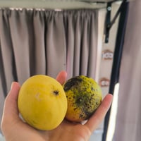 https://imagedelivery.net/Zup8WBbIN5Thd9Z4UDwdTA/c35e8760-7c33-4f23-bc0b-fe5ec54a6e00/thumb