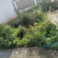 https://imagedelivery.net/Zup8WBbIN5Thd9Z4UDwdTA/c472a1de-0502-4e27-1b4e-4ca2ae2d9d00/thumb