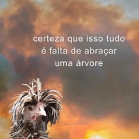 https://imagedelivery.net/Zup8WBbIN5Thd9Z4UDwdTA/cc14b21b-8e91-48dd-3864-05a9811d0400/thumb
