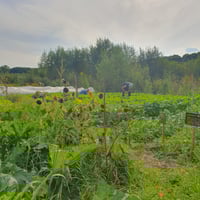 Agroforestry farmer in Brazil