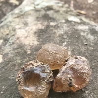 https://imagedelivery.net/Zup8WBbIN5Thd9Z4UDwdTA/eadb6e51-0c20-40b5-f5d1-23a3dd47d700/thumb