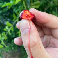 https://imagedelivery.net/Zup8WBbIN5Thd9Z4UDwdTA/f6e9ba85-e864-42f3-06a6-0a78b163c100/thumb