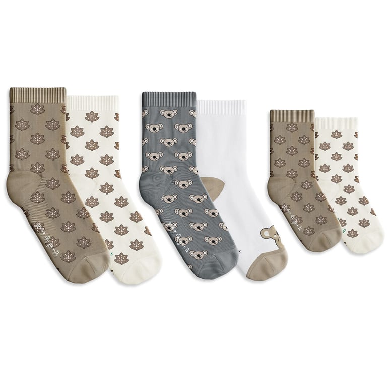 Kit Meia Trocapé Família Coala 6 Pares