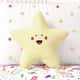 Almofada Estrela Floral Moderna 30cm - imagem 1