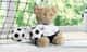 Urso de Pelúcia Jogador de Futebol 40cm - imagem 2
