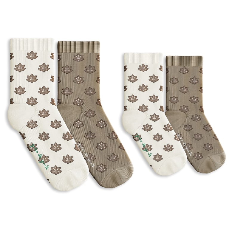 Kit Meia Bebê Tal Pai Tal Filho Trocapé Folhas de Outono 4 Pares Tam 13/20 e 39/43