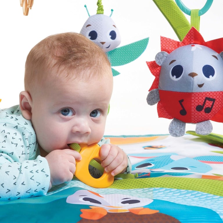 Tapete de Atividades Gymini Sunny Day Meadow — vista alternativa