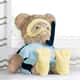 Urso Mergulhador Premium 33cm - imagem 1