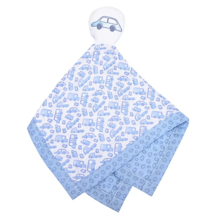 Naninha Minasrey Composê Bordado Carro Azul