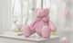 Ursinha Rosa Listrada com Laço 34cm - imagem 2