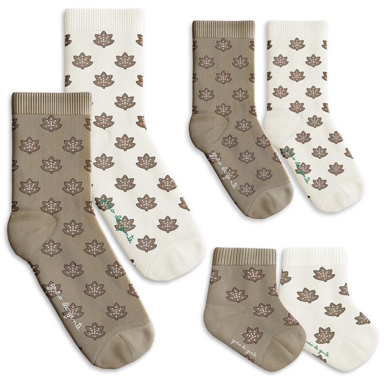 Kit Meia Tal Pai Tal Filhos Trocapé Folhas de Outono 6 Pares Tam 13/20, 25/28 e 39/43