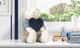 Urso com Coração Luxo Azul Marinho 45cm - imagem 2