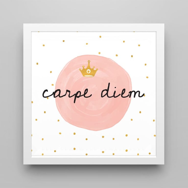 Quadro Carpe Diem Rosé/Branco 18cm