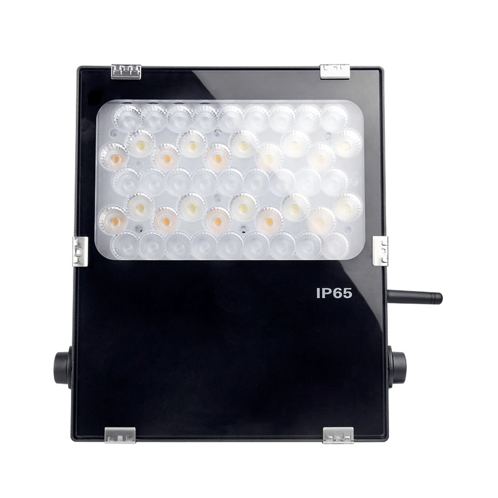 50W RGB+CCT LED Garden Light ( LoRa 433MHz )