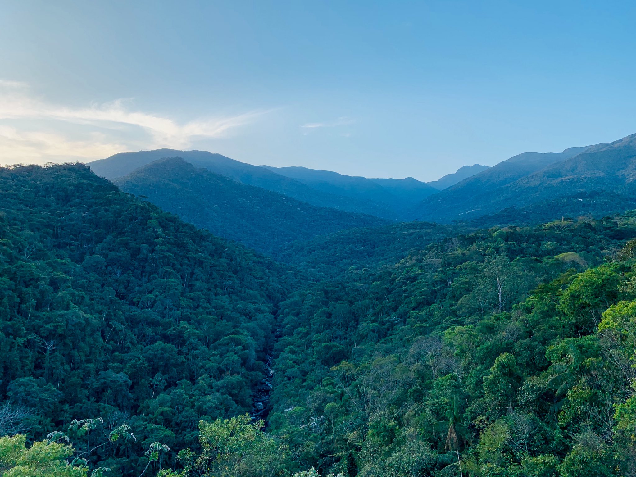 Paisagem da Mata Atlântica na Serra do Itajaí