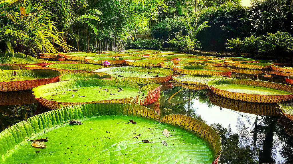 Cenário amazônico no Sudeste do Pará, região de Parauapebas