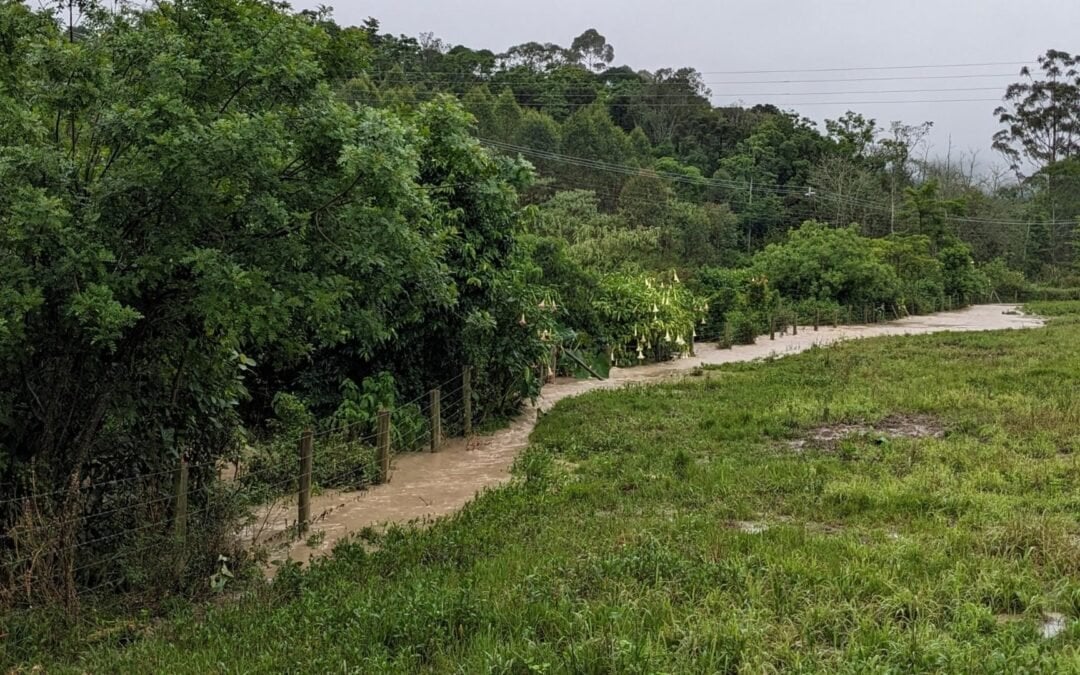 Paisagem do Alto Vale do Itajaí, em Santa Catarina