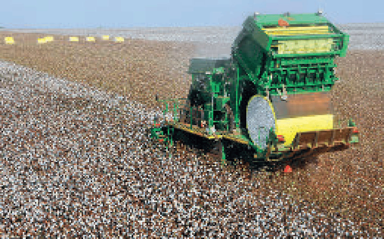 Plantação no interior paulista com colheita mecanizada
