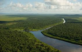 Trecho amplo de rio em meio à floresta, com curvas do curso d’água e vegetação amazônica densa: região do rio Capim, nordeste do Pará