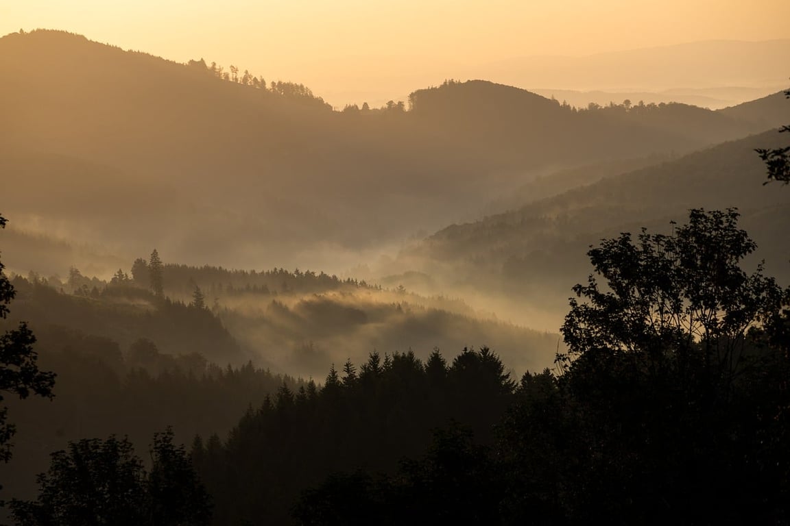 Serra do Tinguá ao amanhecer, com morros verdes e neblina baixa