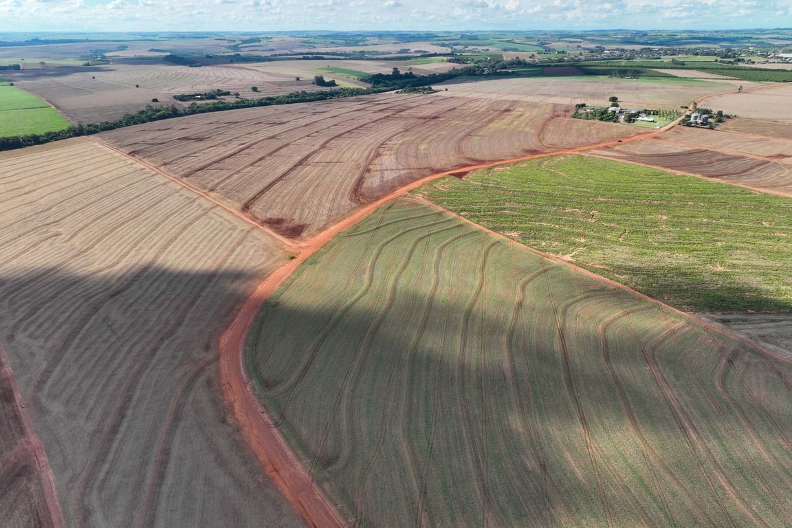 Paisagem rural com lavouras de soja, estrada vicinal e céu azul no Noroeste do Paraná