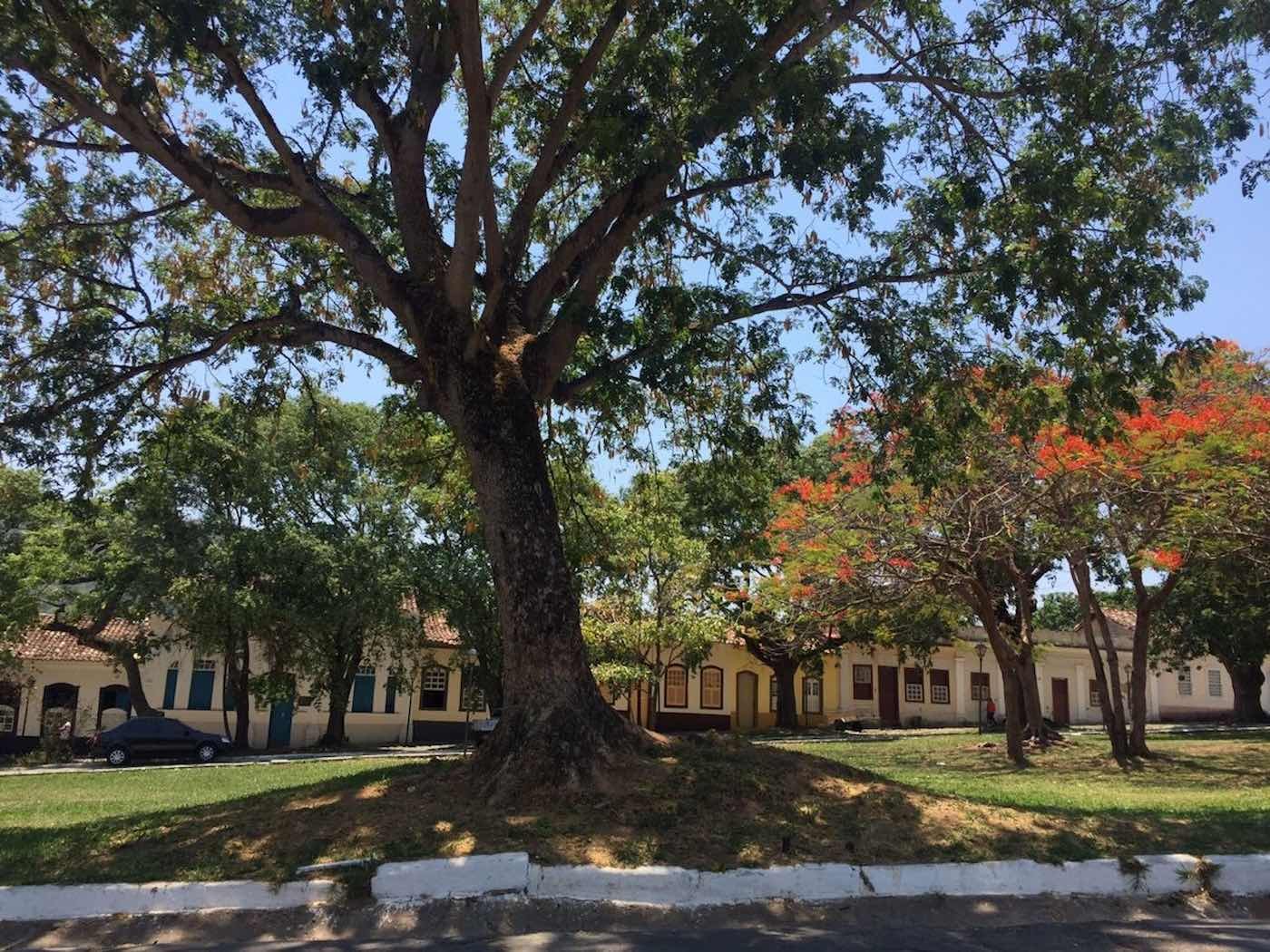 Centro Histórico da Cidade de Goiás, com casario colonial e vegetação ao fundo