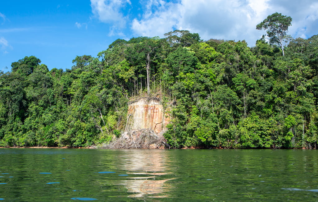 Paisagem amazônica com vegetação densa e trecho de água sob céu limpo