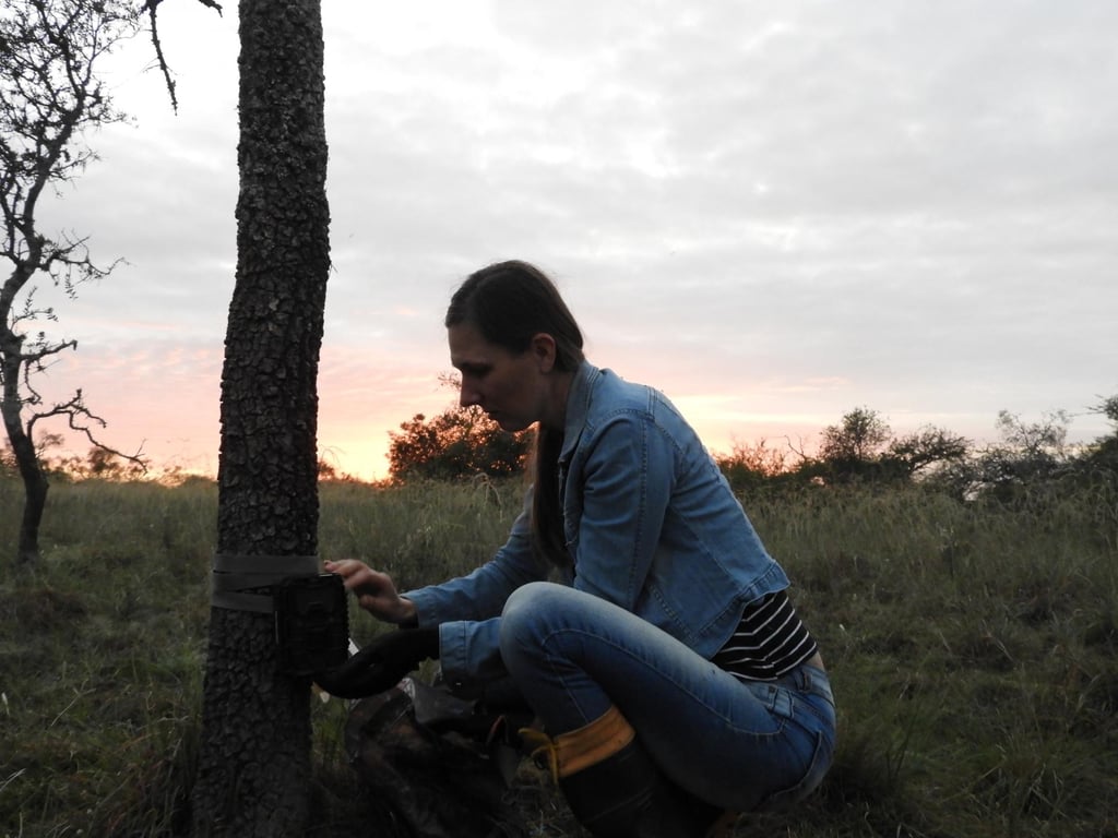 Campos do Pampa gaúcho ao entardecer