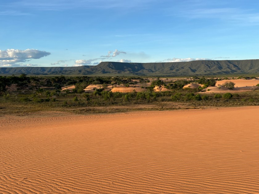 Estrada de terra no Cerrado goiano ao pôr do sol