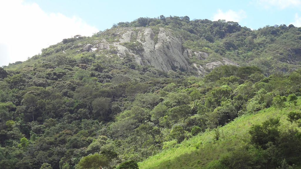 Mata Atlântica na região da Rebio Pedra Talhada
