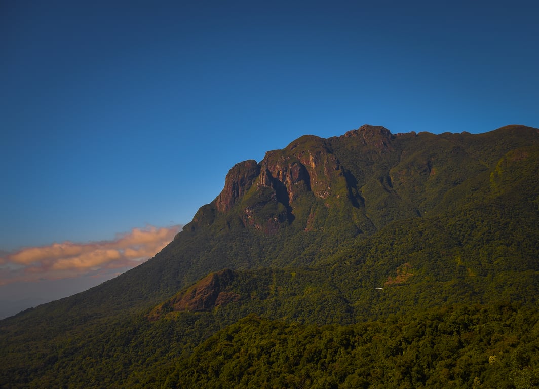 Remanescente de Mata Atlântica no norte do Espírito Santo