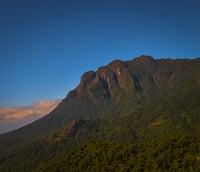 Vista aérea da Mata Atlântica no norte do Espírito Santo.