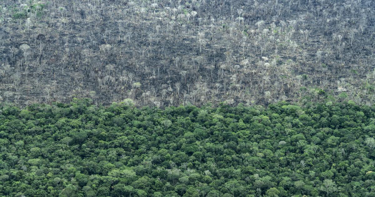 Vale do Guaporé RO, com floresta e curso d’água