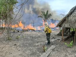 Brigadistas em ação na Amazônia